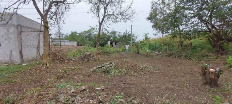 Terreno en Venta en  Amatlán de los Reyes, Veracruz