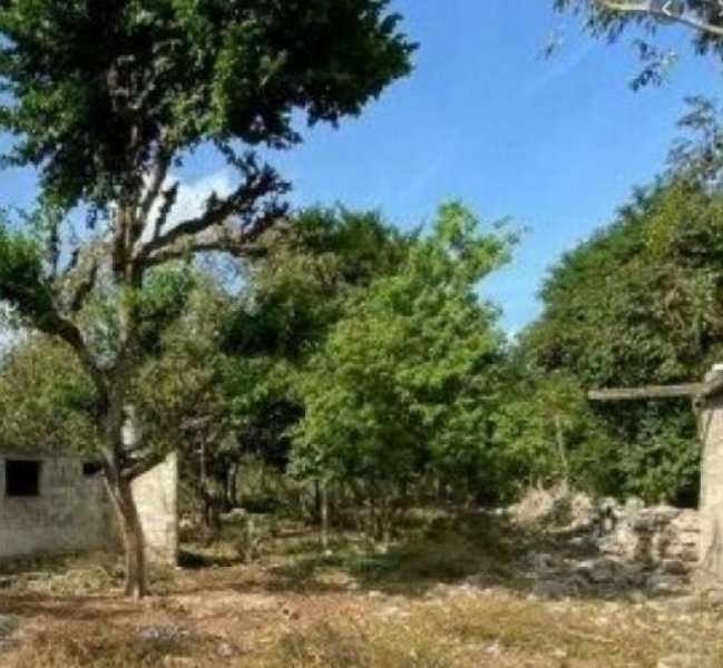 Foto Terreno en Venta en VERGEL 65, Mérida, Yucatan - $ 300.000 - TEV283392 - BienesOnLine