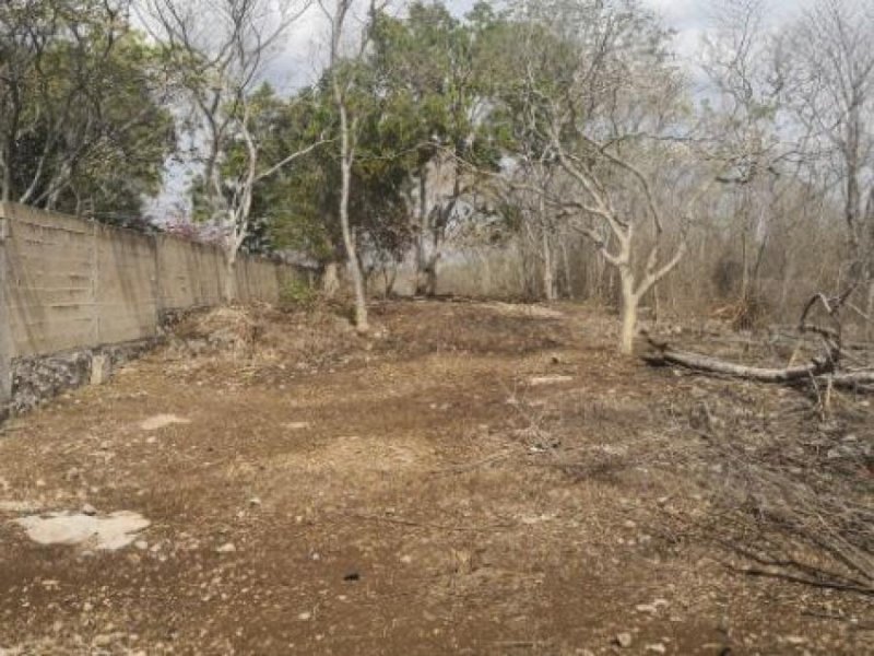 Foto Terreno en Venta en VILLAS DE ORIENTE, Mérida, Yucatan - $ 156.800 - TEV282716 - BienesOnLine