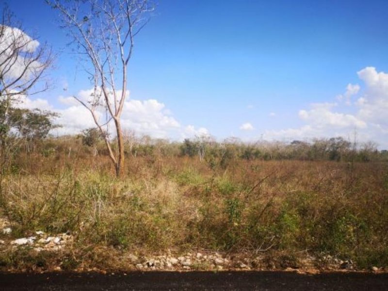 Foto Terreno en Venta en TEMOZON, Temozón, Yucatan - $ 945.000 - TEV276980 - BienesOnLine