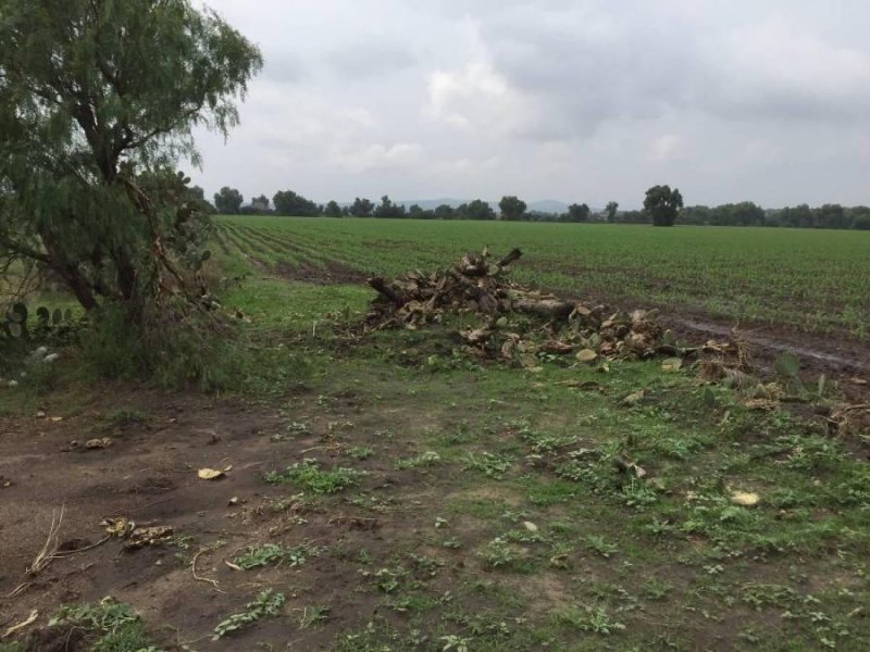 Terreno en Venta en Villa de Tezontepec Centro Tezontepec, Hidalgo