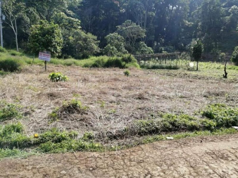 Terreno en Venta en TEOCELO 2000 Teocelo, Veracruz