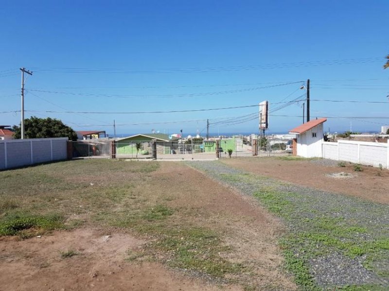 Foto Terreno en Venta en LUCIO BLANCO, Rosarito, Baja California - U$D 64.800 - TEV210565 - BienesOnLine