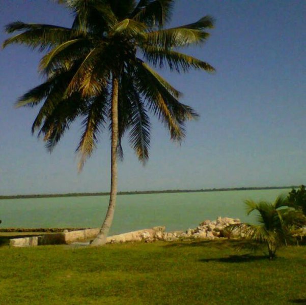 Foto Terreno en Venta en Chetumal, Quintana Roo - U$D 300.000 - TEV197591 - BienesOnLine