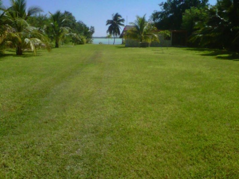 Foto Terreno en Venta en Calderitas, Chetumal, Quintana Roo - U$D 300.000 - TEV197792 - BienesOnLine