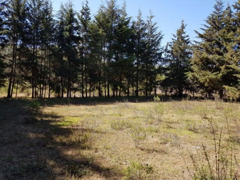 Foto Terreno en Venta en Zirahuén, Michoacan de Ocampo - $ 950.000 - TEV205219 - BienesOnLine